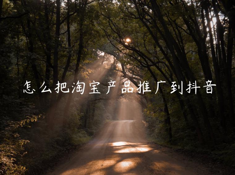 怎么把淘寶產(chǎn)品推廣到抖音